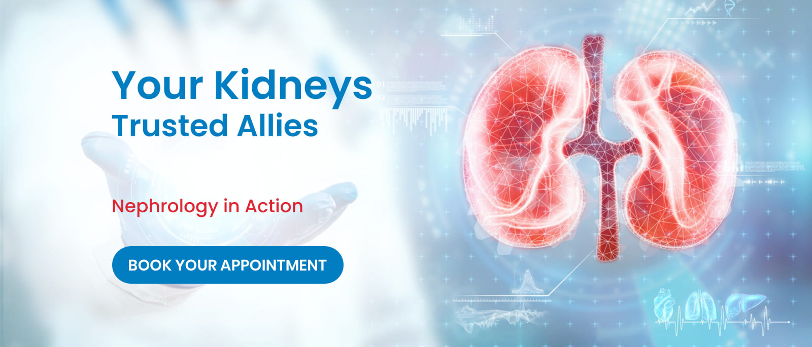 Your Kidneys Trusted Allies