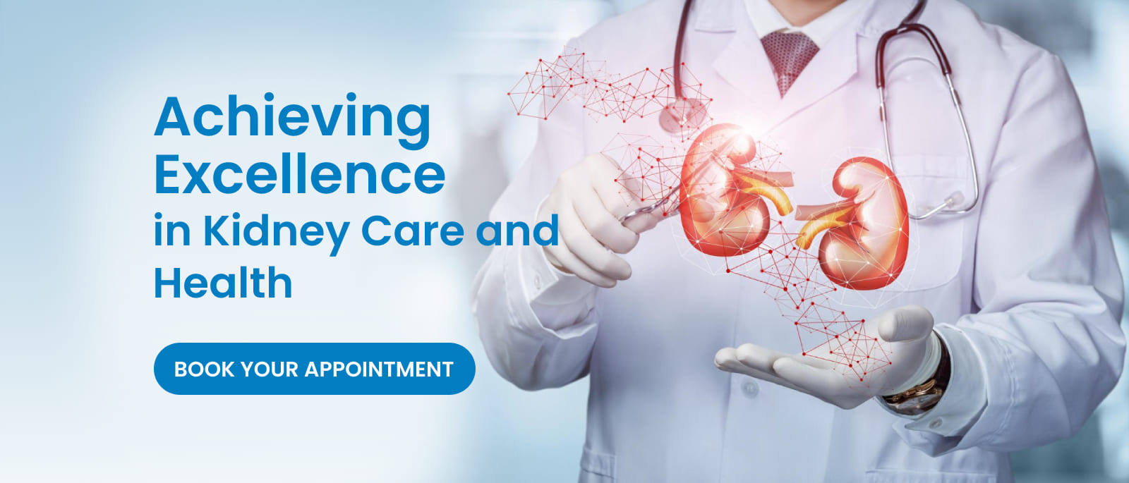 Achieving Excellence in Kidney Care and Health