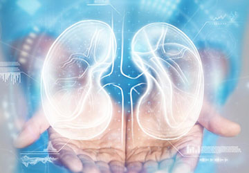 Renal (Kidney) Transplant